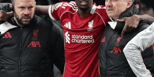 1.45亿白花了？利物浦新援腓骨骨折休息数月，斯洛特遭遇重大打击