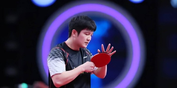 是金子总会发光,远赴德甲仅3个月,樊振东入选先进个人,太争气了